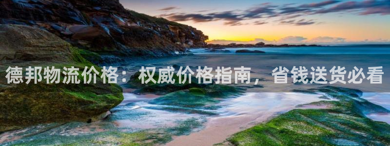 28圈预测网