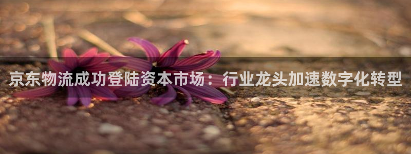 28圈推广链接是多少钱一个：京东物流