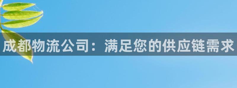 28圈官方：成都物流公司：满足您的供