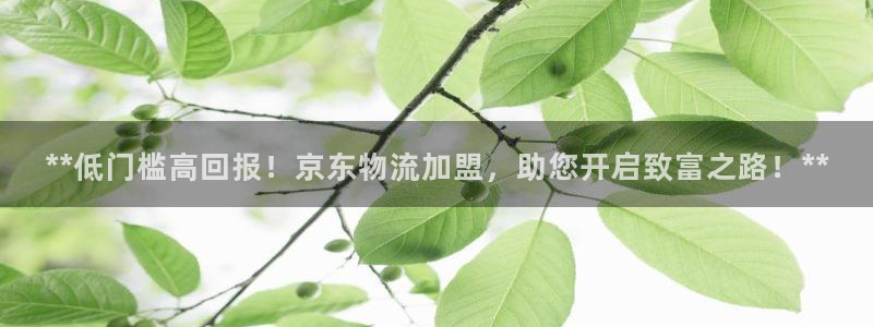 28圈链接来一个