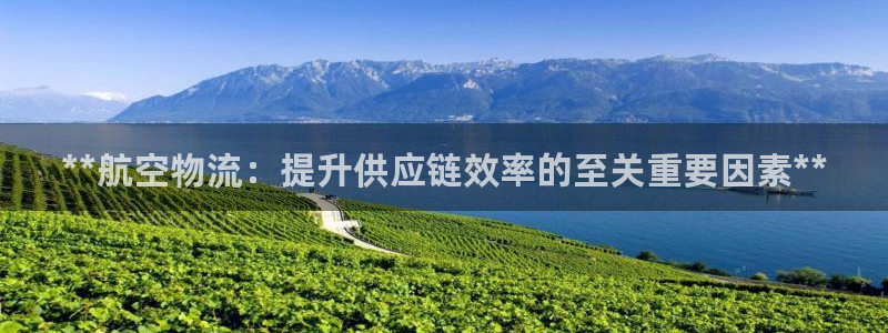 28圈充值