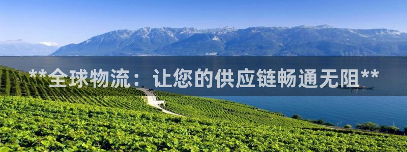 28圈网站怎么注册：**全球物流：让
