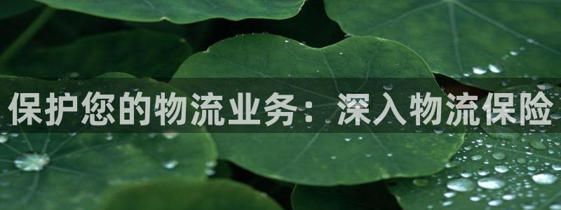 28圈二维码