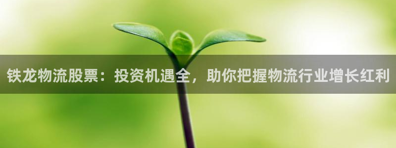 28圈官网注册：铁龙物流股票：投资机