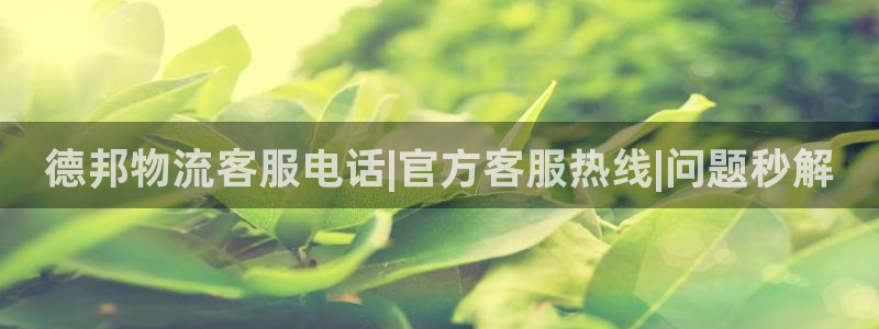 28圈注册网站APP：德邦物流客服电