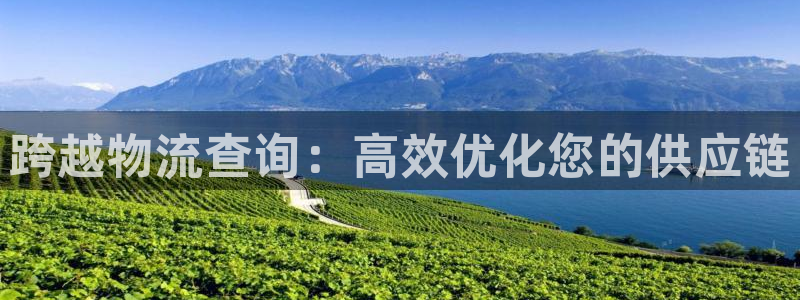 28圈预测加拿大师准