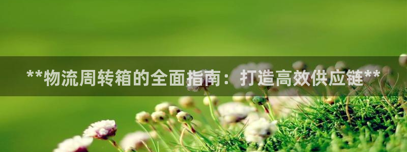 28圈加拿大技巧