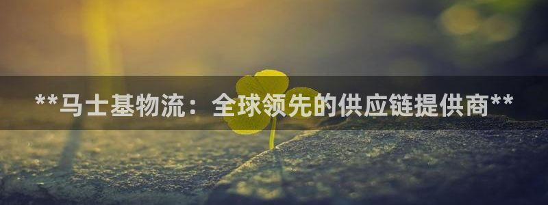 28圈模拟器