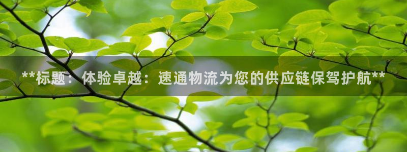 28圈预测