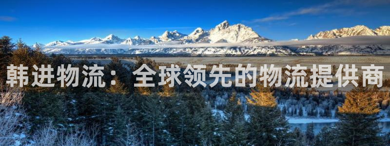 28圈口内径是多大：韩进物流：全球领