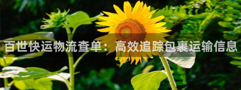 28圈游戏官网入口