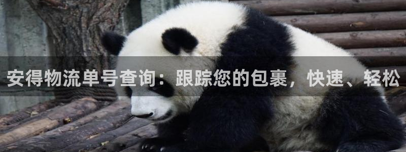 加拿大28圈数字规则
