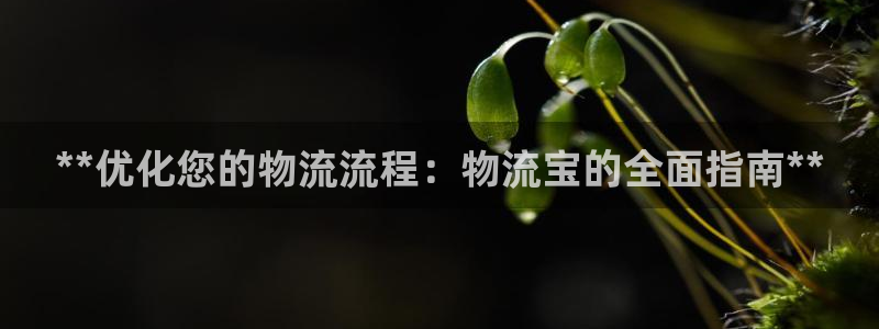 28圈充值不到账