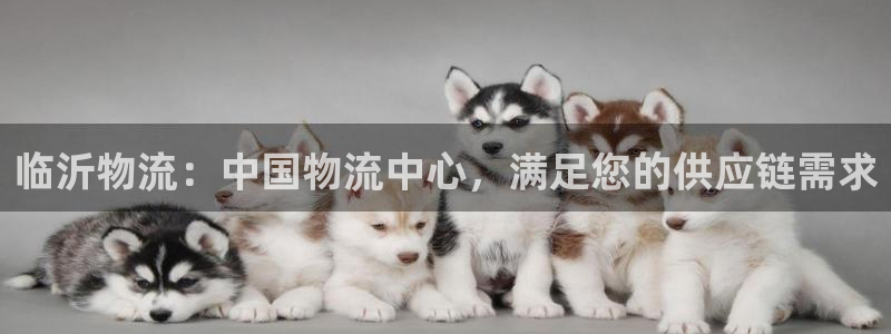 28圈南宫娱乐官网