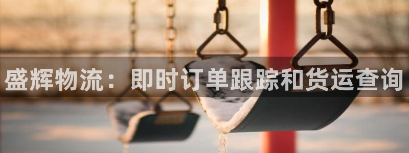 28圈注册步骤：盛辉物流：即时订单跟