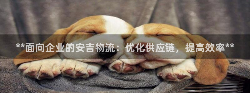 28圈加拿大pc预测
