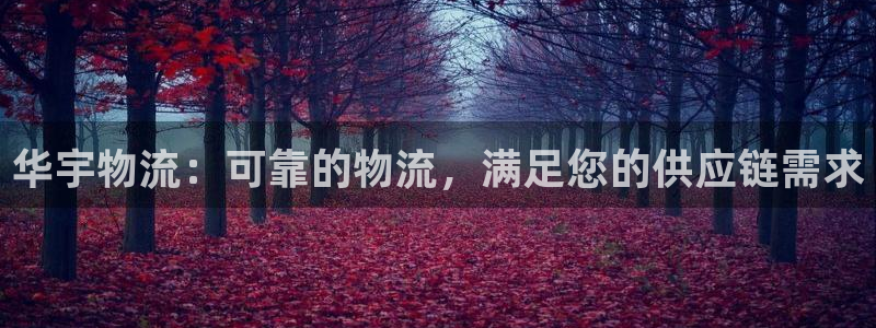 28圈为什么没有赢过一次