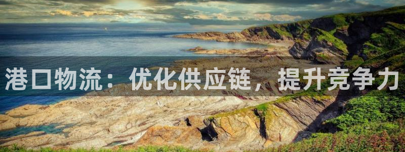 28圈登录流程：港口物流：优化供应链