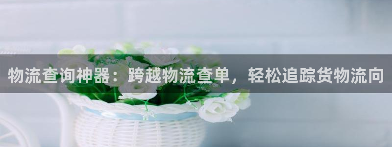 28圈注册网站：物流查询神器：跨越物