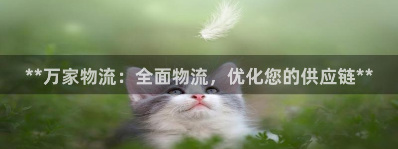 28圈加拿大是什么