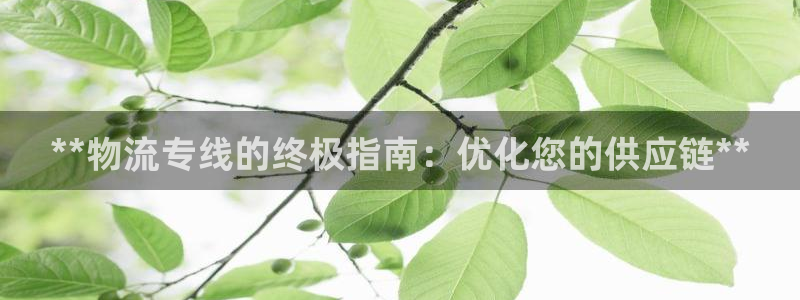 28圈网站怎么注册：**物流专线的终