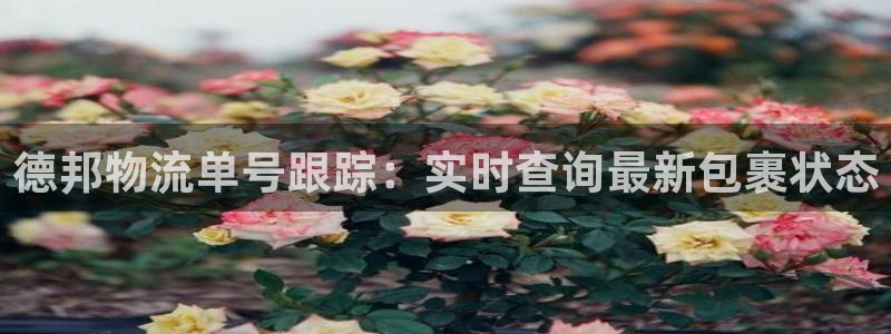 28圈是正规软件吗：德邦物流单号跟踪
