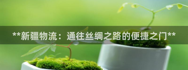 28圈登录流程：**新疆物流：通往丝