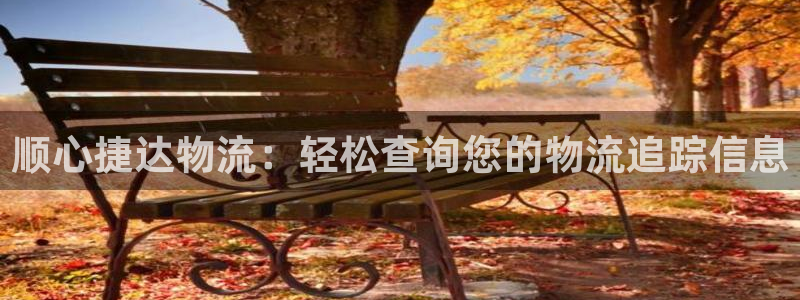 28圈官网平台