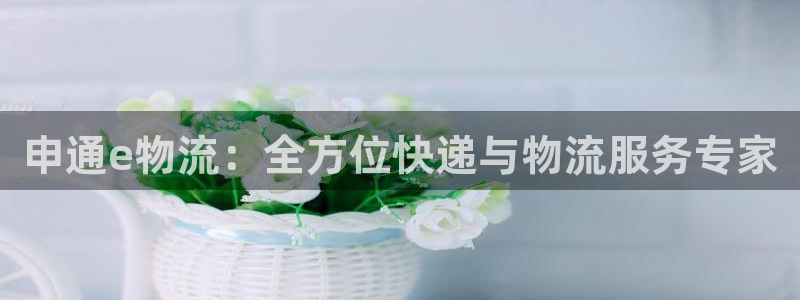 28圈充值不到账怎么回事