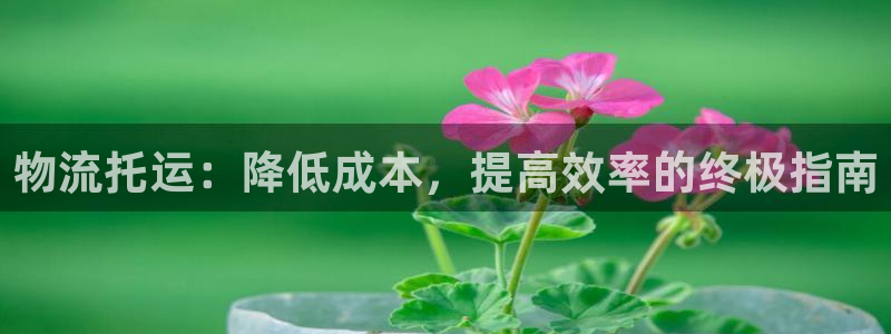 28圈.ccm南宫：物流托运：降低成