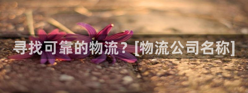 28圈预测