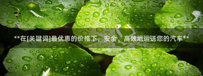 28圈能提现吗：**在[关键词]最优