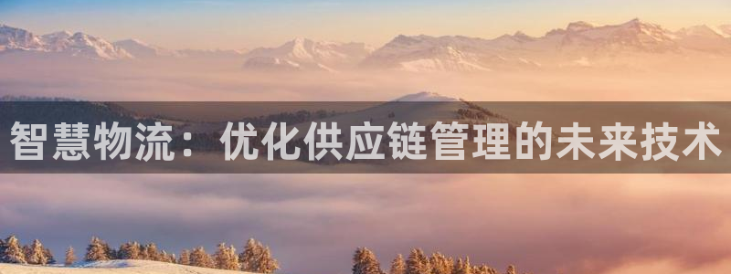 28圈现在狂杀：智慧物流：优化供应链