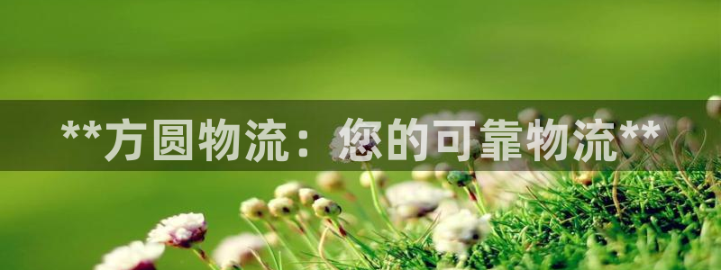 28圈模拟器在线玩