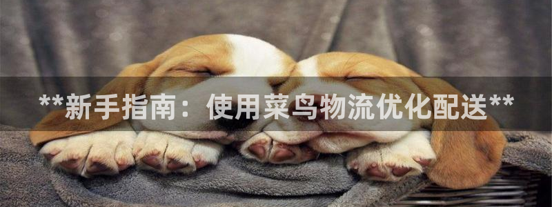 28圈充值为什么充不了