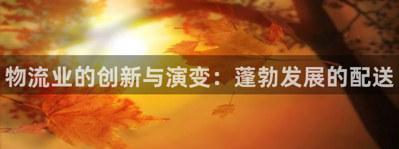 28圈aPP退款
