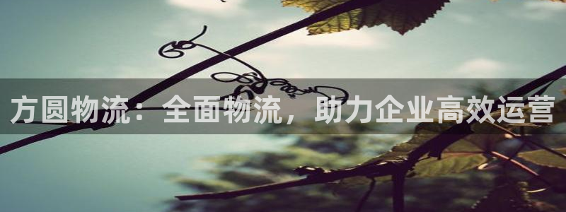 28圈ccm官网版