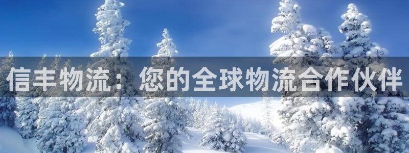 28圈充值不处理怎么办