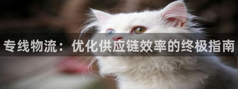 28圈app怎么注销