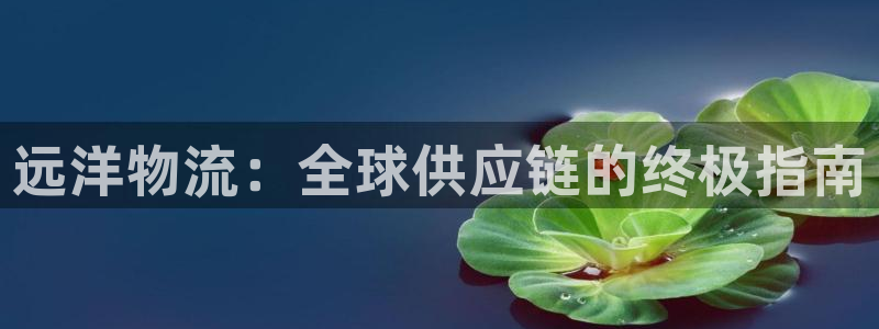 28圈分分28预测