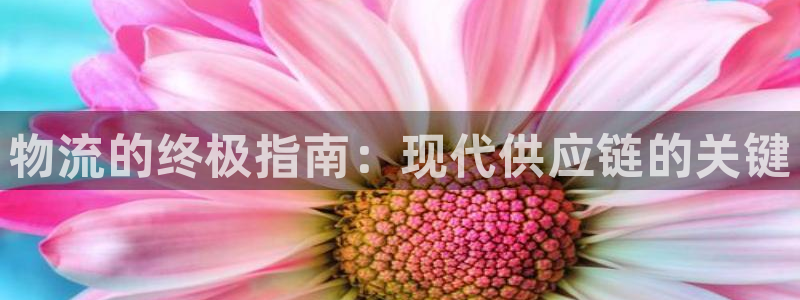 28圈预测加拿大师准：物流的终极指南