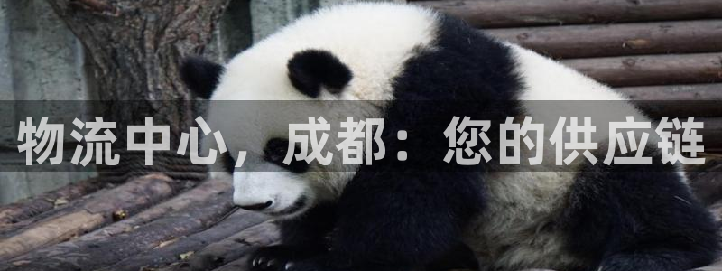 28圈注册登录：物流中心，成都：您的
