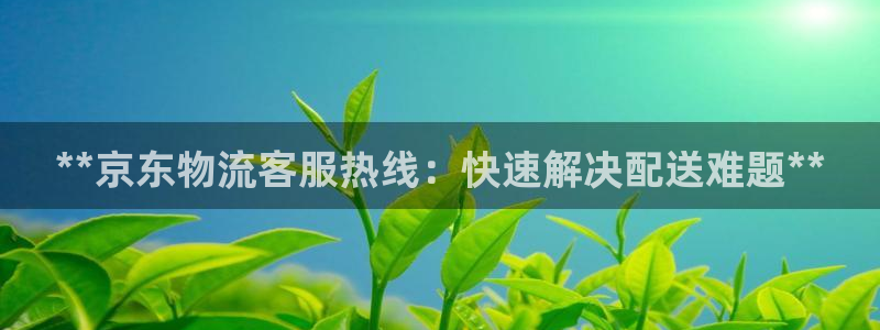 28圈现在狂杀：**京东物流客服热线