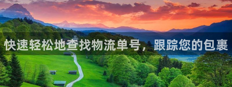 28圈官网注册：快速轻松地查找物流单