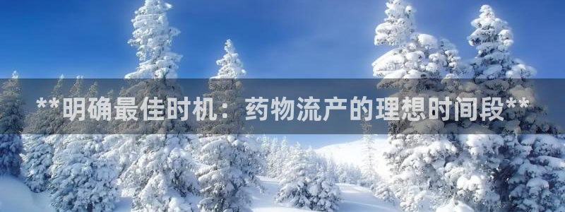 28圈.ccm2024