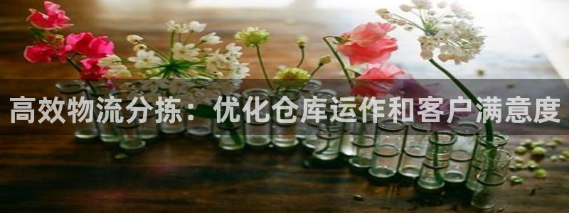 28圈官网下载链接是什么