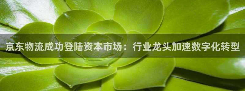 28圈能退款吗