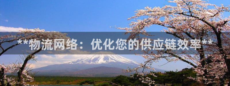 28圈正规吗：**物流网络：优化您的