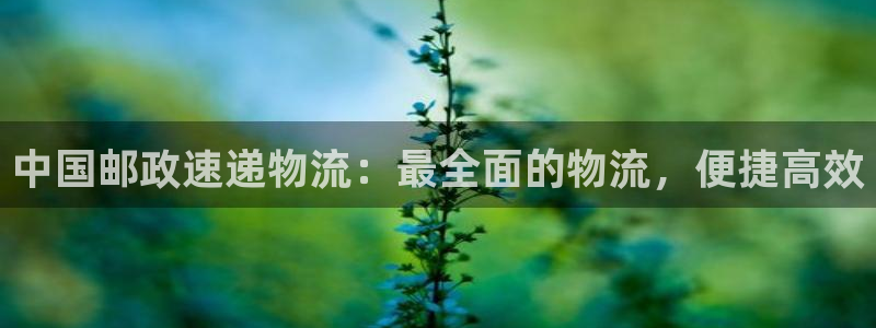 加拿大28圈是什么