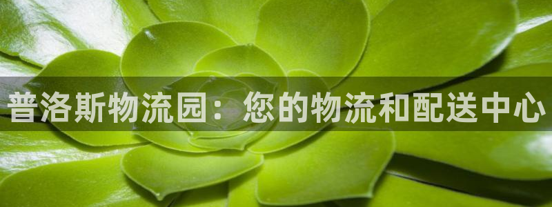 28圈官方版正版：普洛斯物流园：您的